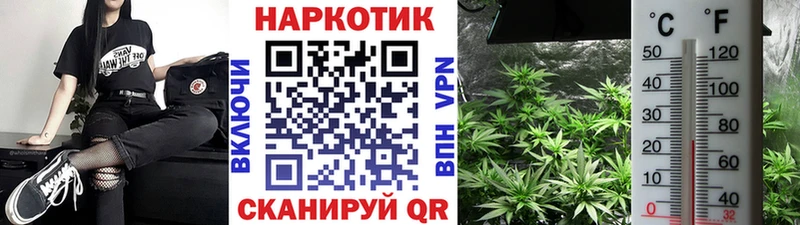 Меф Саранск
