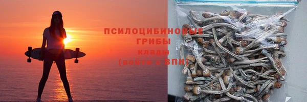 соль ск Абдулино