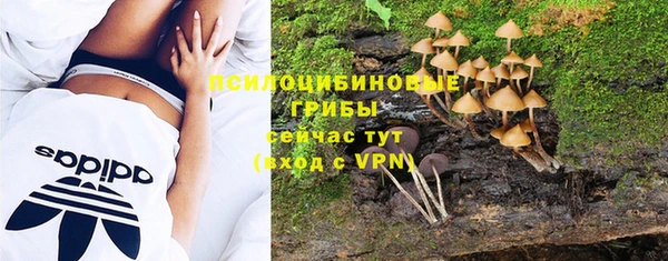 PSILOCYBIN Алексеевка