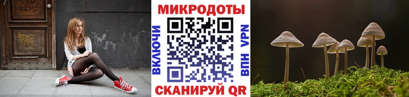 Галлюциногенные грибы Psilocybe  купить наркотик  Саранск 